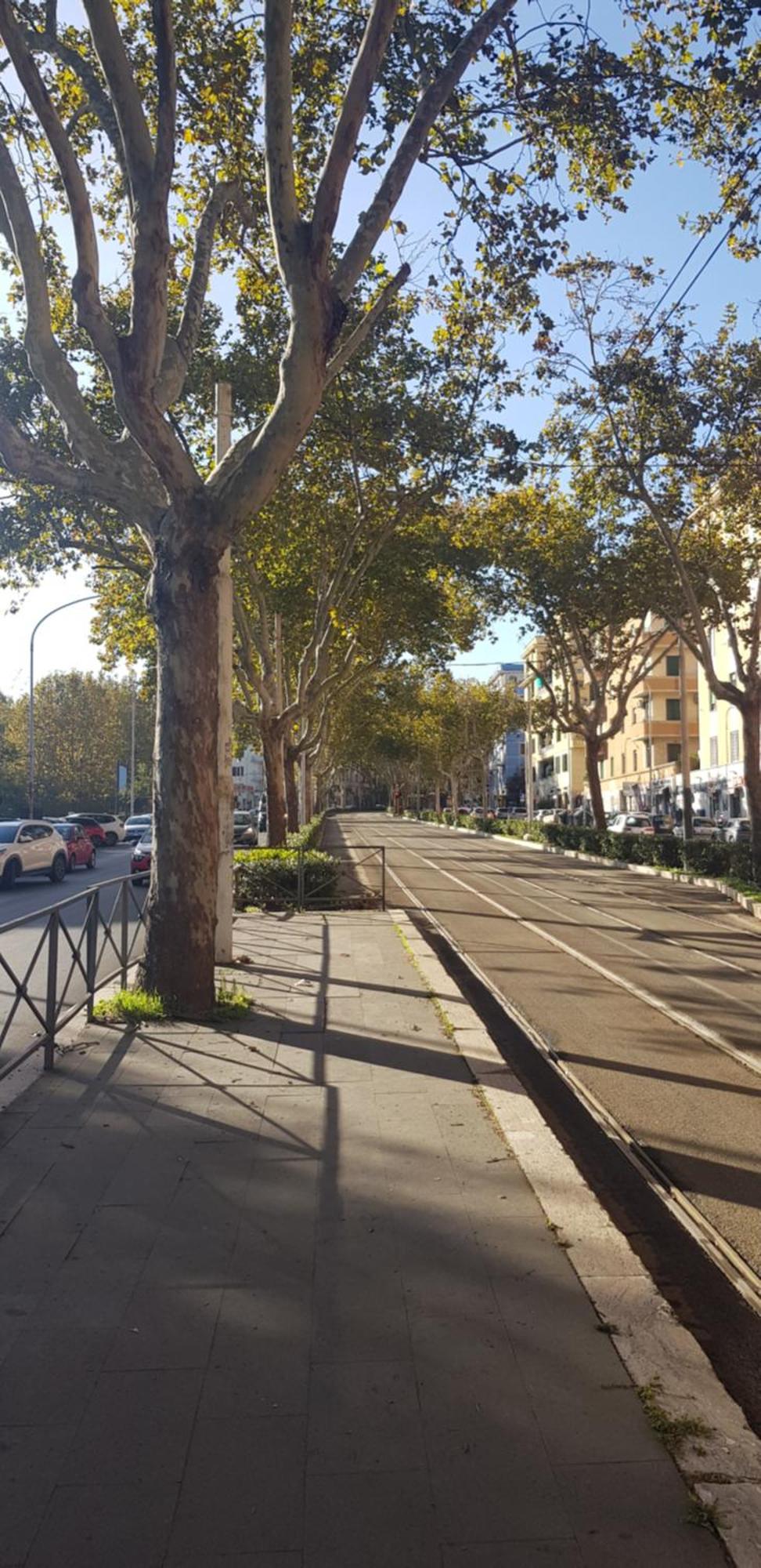 Trastevere Residenze Рим Экстерьер фото